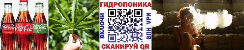 Cannafood марихуана  Новоалександровск 