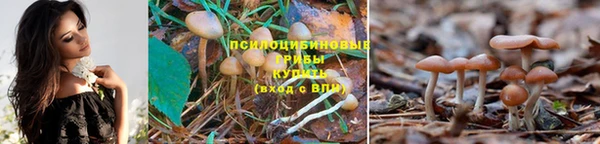 а пвп мука Белокуриха
