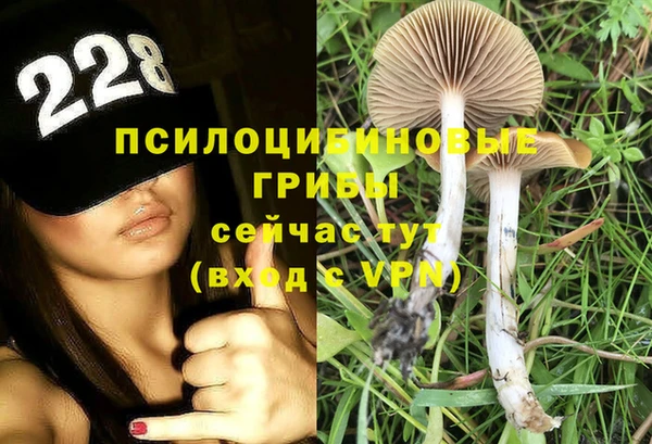 Альфа ПВП Белоозёрский