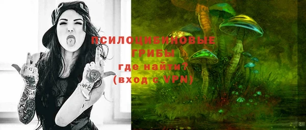 а пвп мука Белокуриха