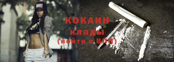 молекула духа Дмитриев