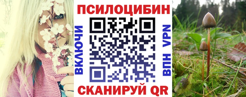 Галлюциногенные грибы ЛСД  Новоалександровск 